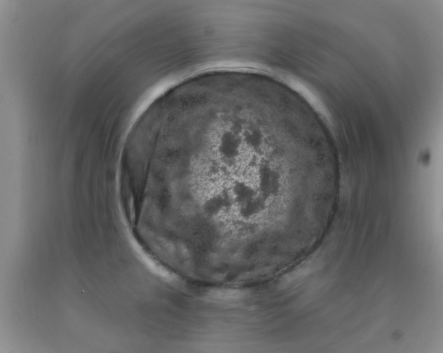 X0000092031237200709201605