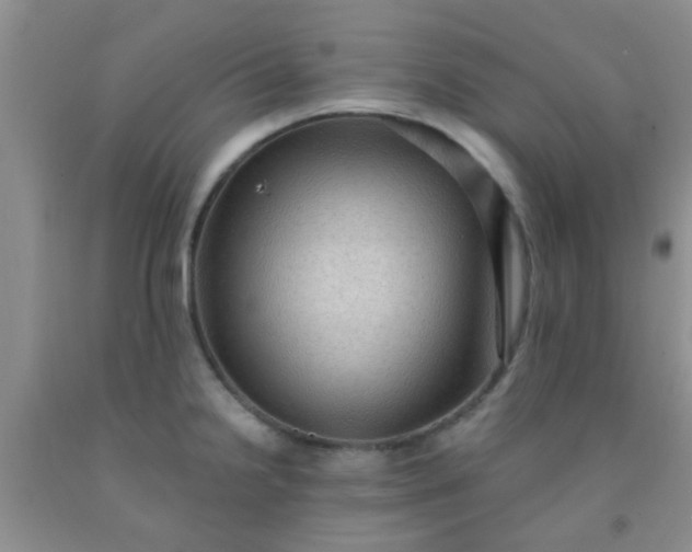 X0000092031238200709201605