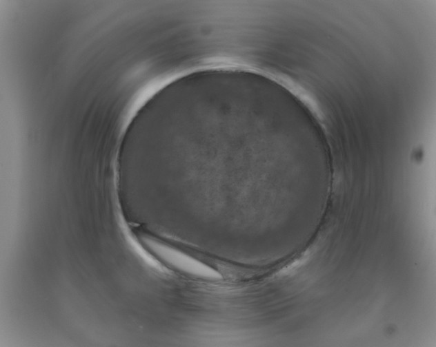 X0000092031239200709201605