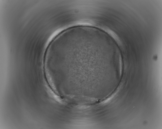 X0000092031240200709201605