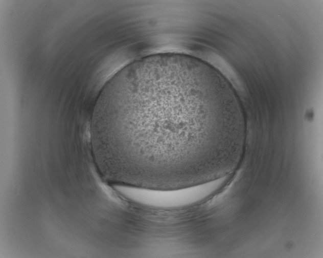 X0000092031241200709201605