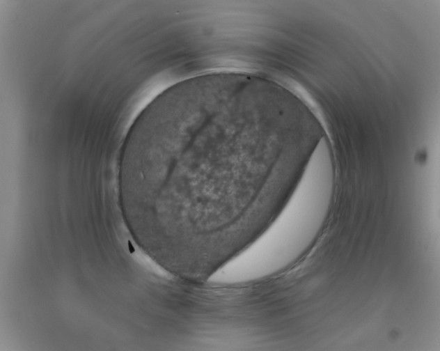 X0000092031243200709201605