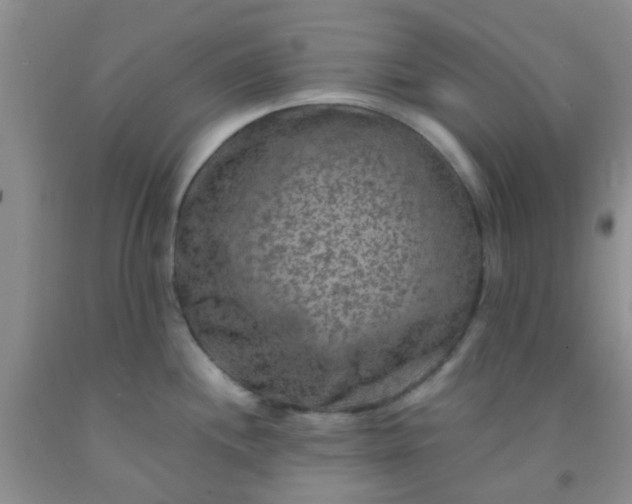 X0000092031244200709201605