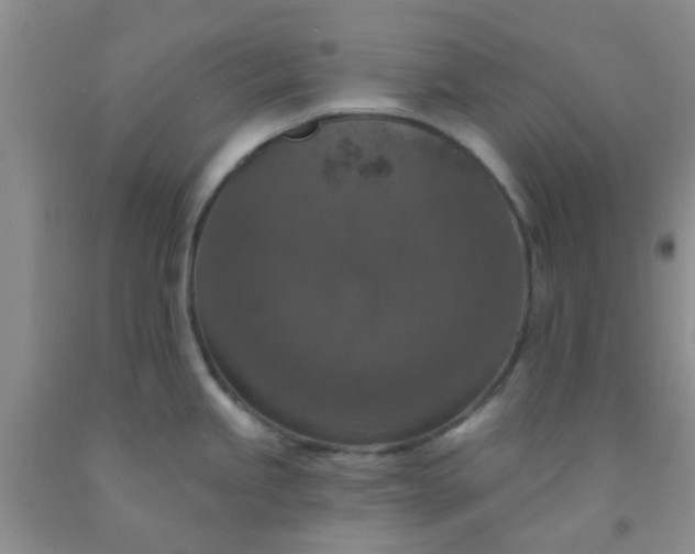 X0000092031245200709201605