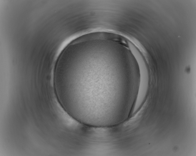 X0000092031246200709201605