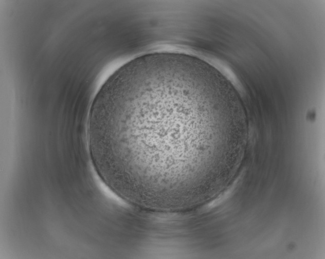 X0000092031247200709201605