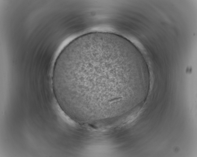 X0000092031248200709201605