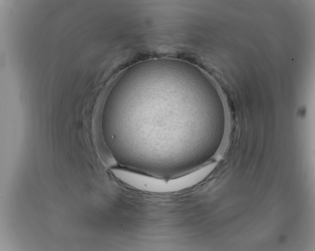 X0000092031249200709201605