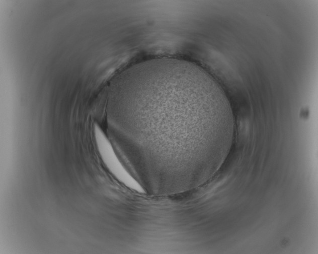 X0000092031250200709201605