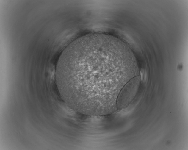 X0000092031251200709201605