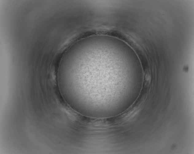 X0000092031252200709201605