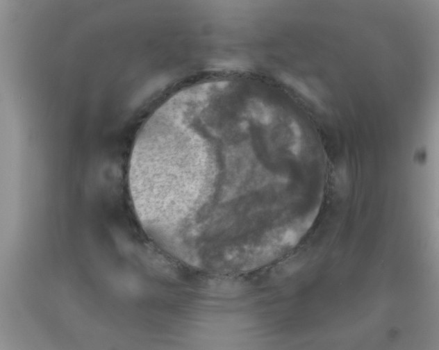 X0000092031254200709201605