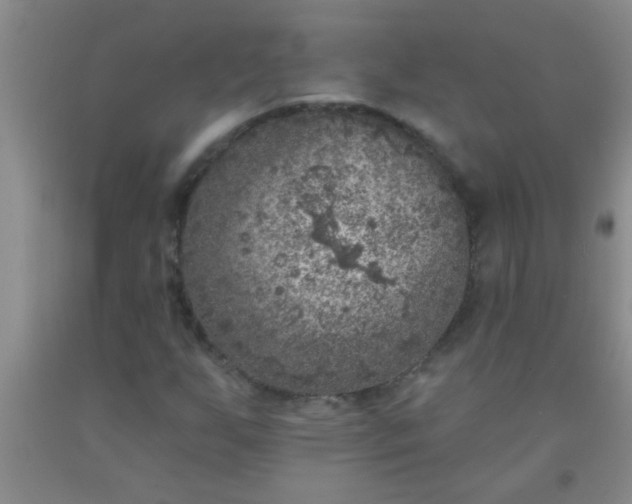 X0000092031255200709201605