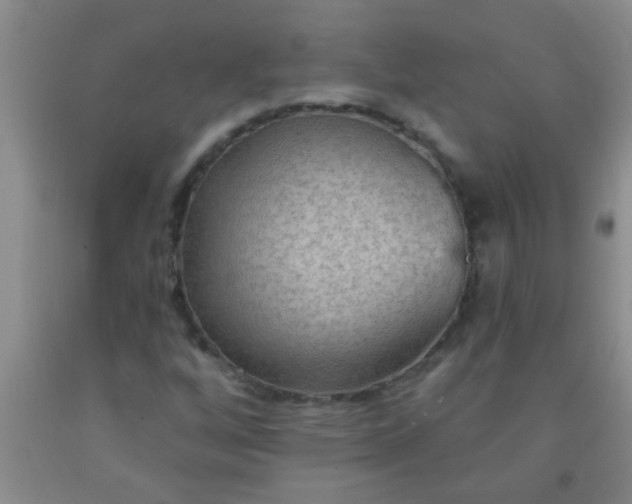 X0000092031256200709201605