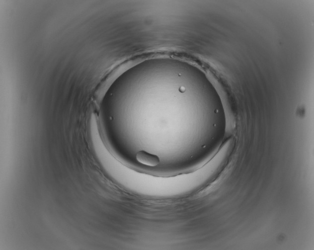 X0000092031257200709201605