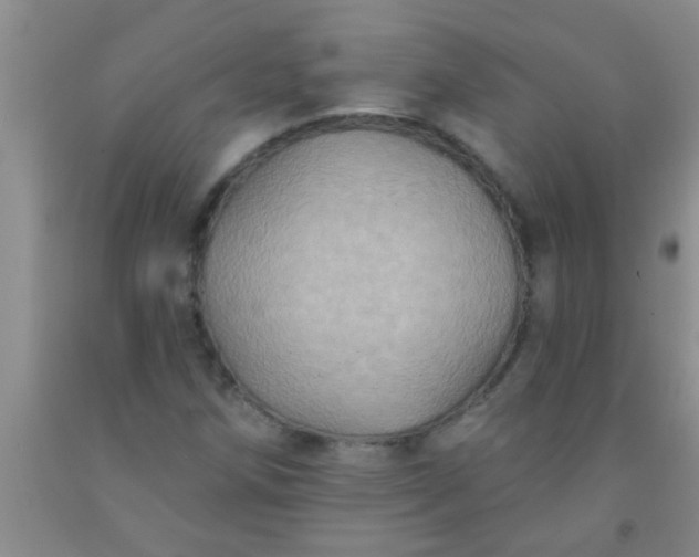 X0000092031258200709201605