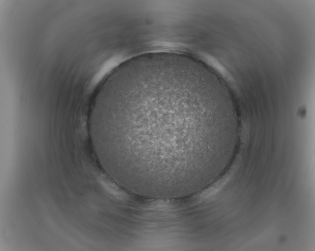 X0000092031259200709201605