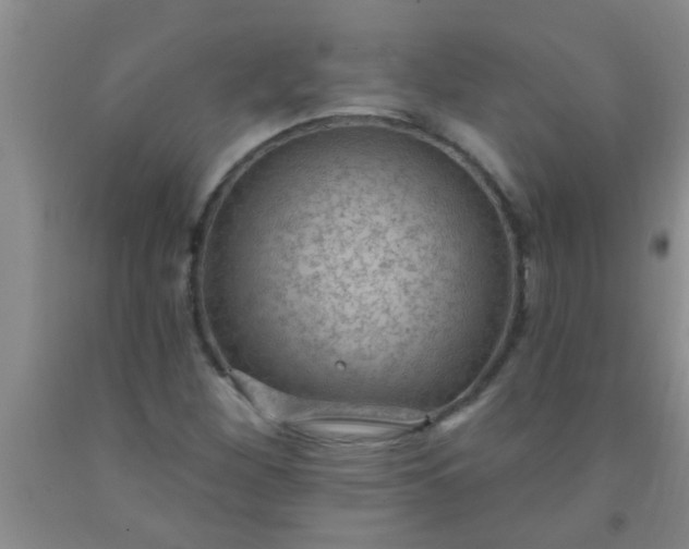 X0000092031260200709201605