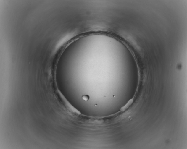 X0000092031261200709201605