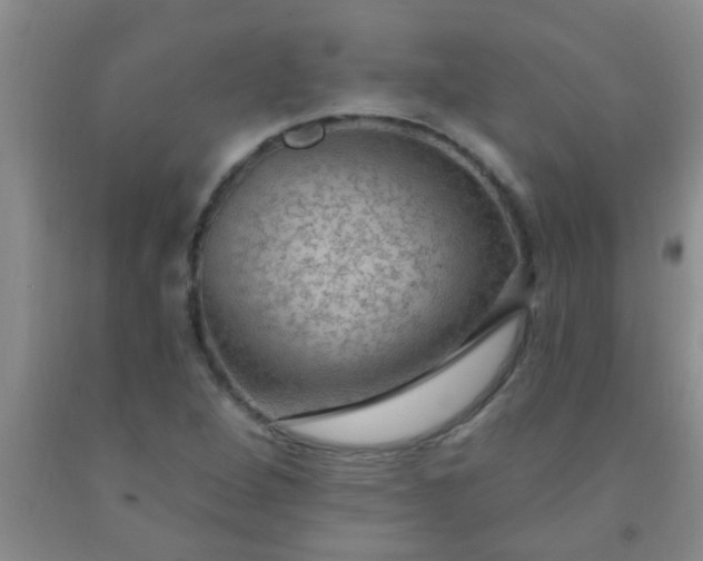 X0000092031264200709201605