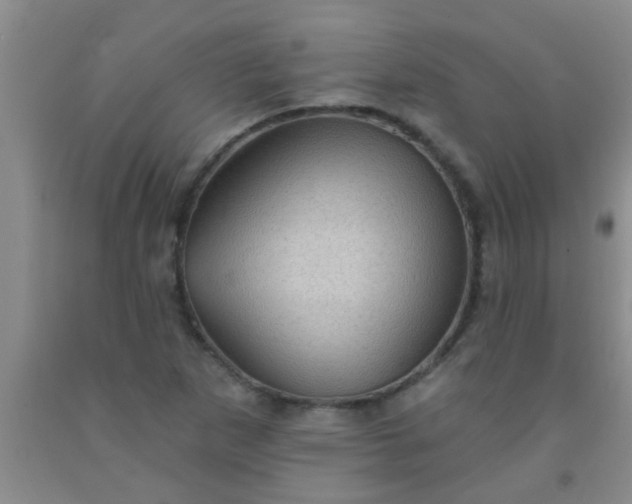 X0000092031265200709201605