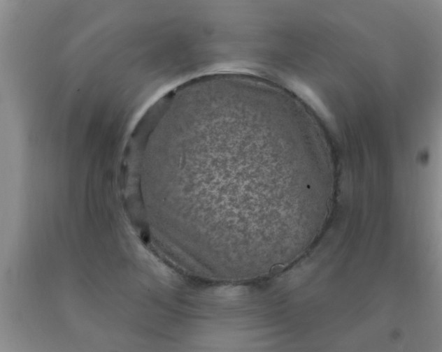 X0000092031268200709201604