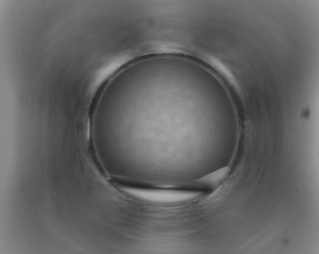 X0000092031269200709201604