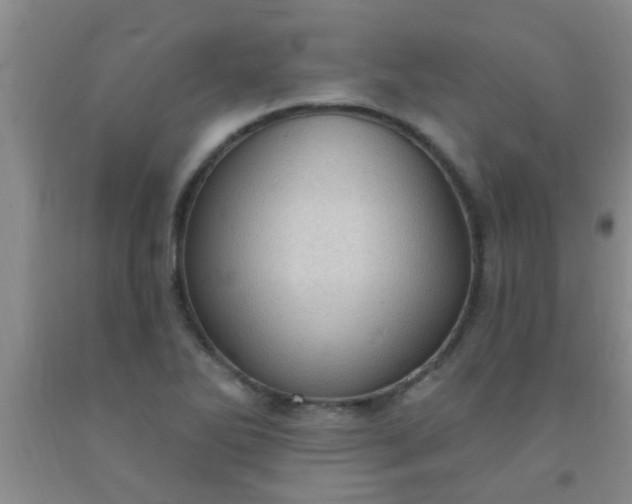 X0000092031270200709201604