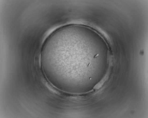 X0000092031272200709201604