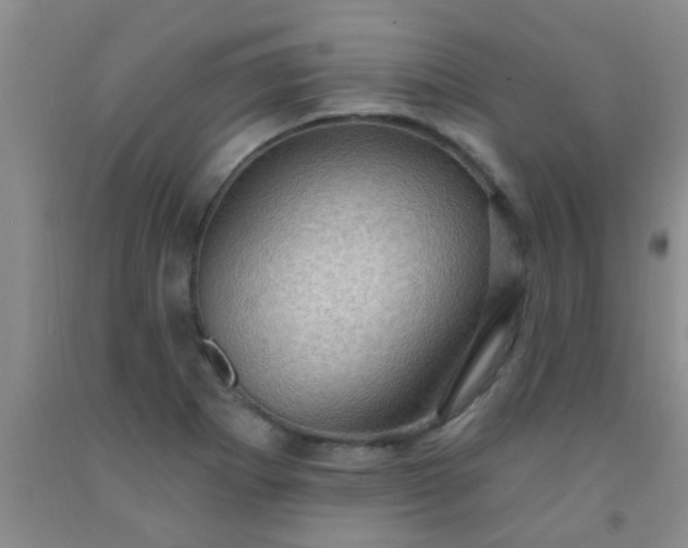 X0000092031273200709201604