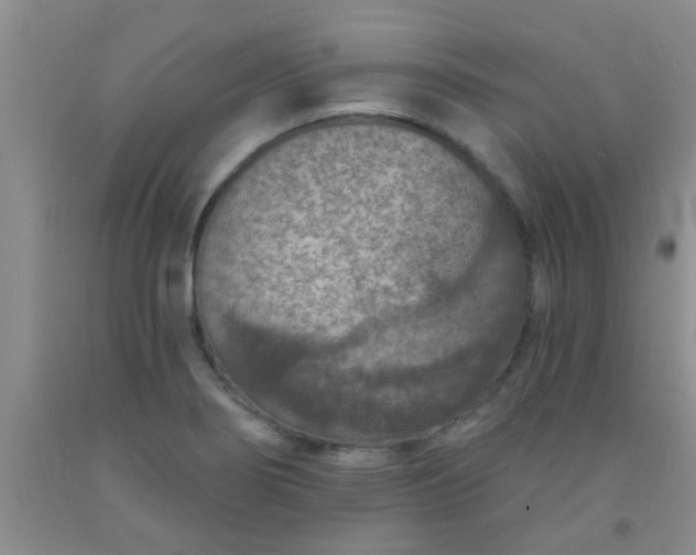 X0000092031274200709201604