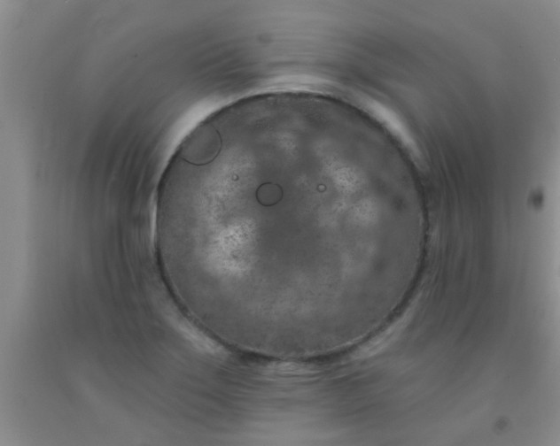 X0000092031275200709201604