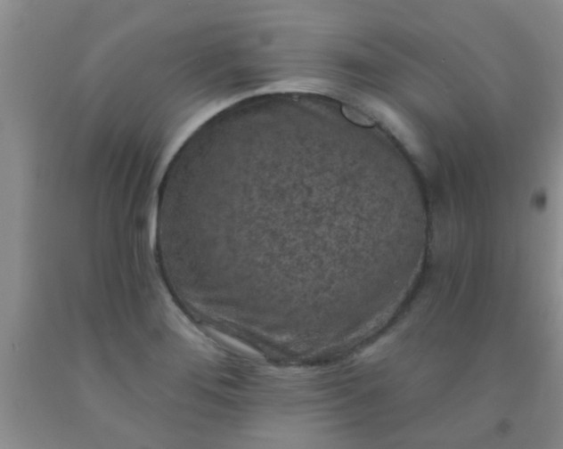 X0000092031276200709201604