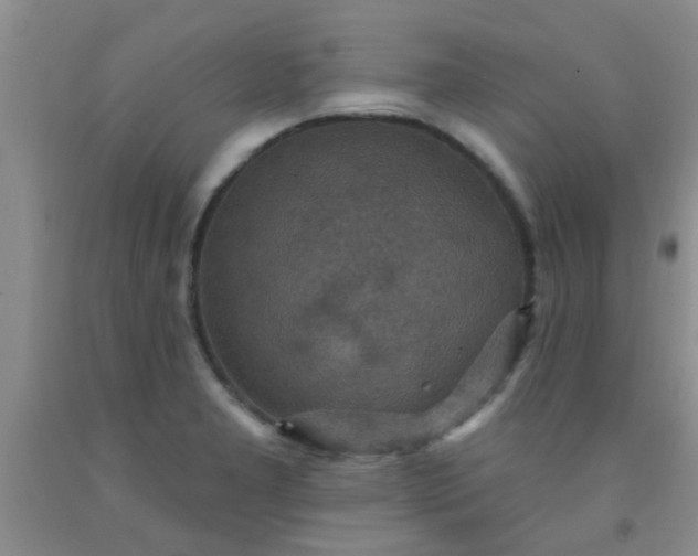 X0000092031277200709201604