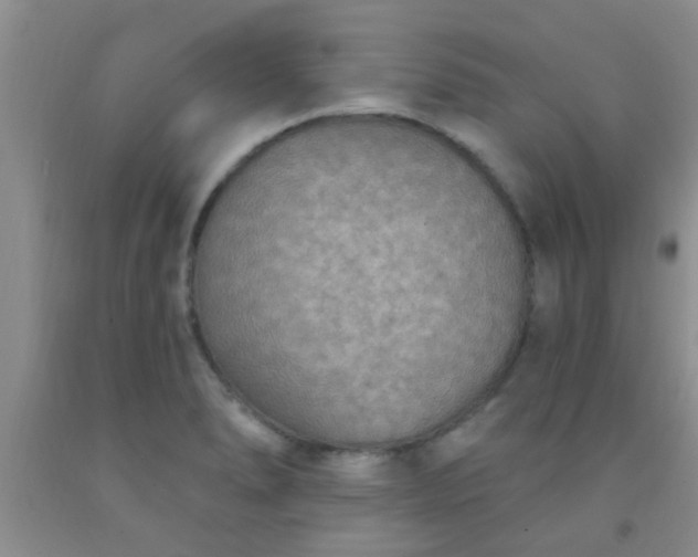 X0000092031278200709201604