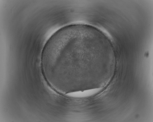 X0000092031279200709201604