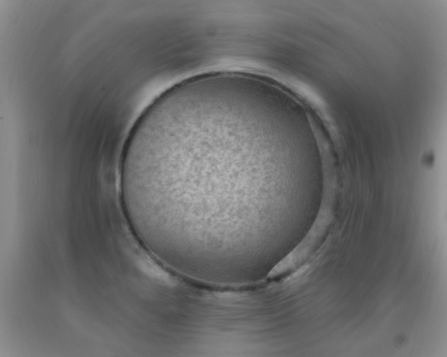 X0000092031280200709201604