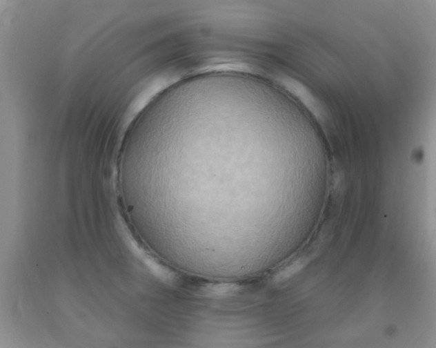 X0000092031282200709201604