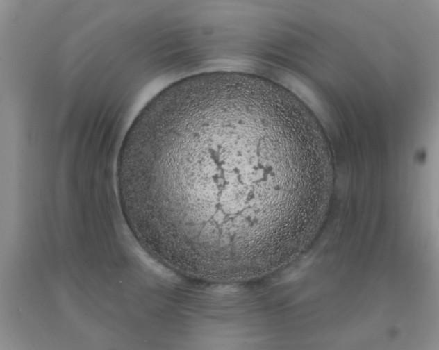 X0000092031283200709201604