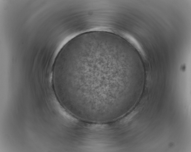 X0000092031284200709201604