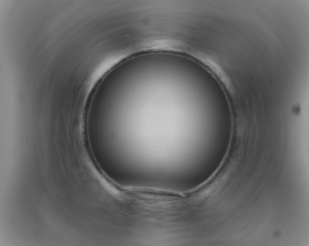 X0000092031285200709201604