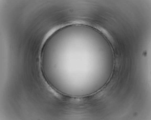 X0000092031286200709201604