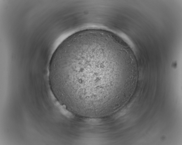 X0000092031287200709201604