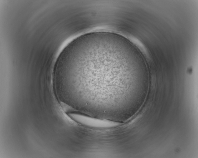 X0000092031288200709201604