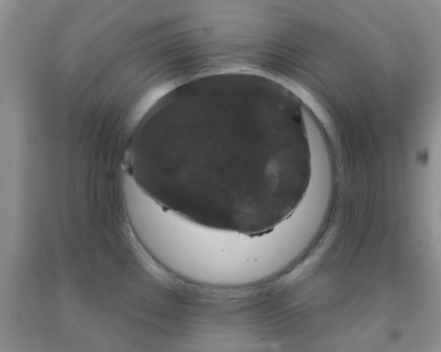 X0000092031289200709201604