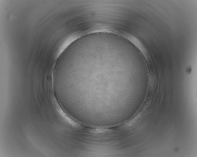 X0000092031290200709201604