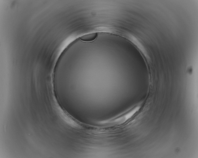 X0000092031291200709201604