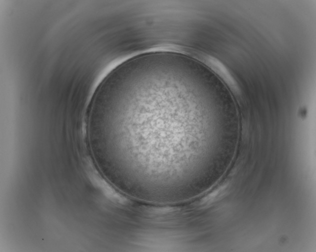 X0000092031292200709201604