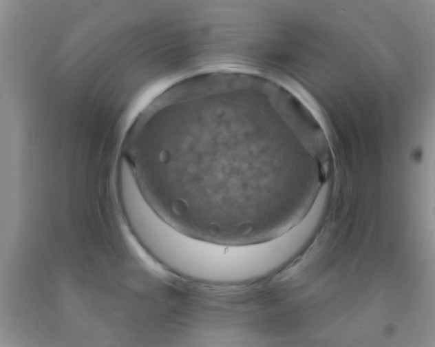 X0000092031293200709201604