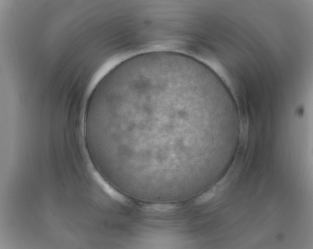 X0000092031294200709201604